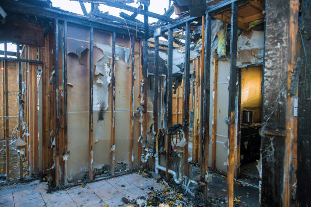 Professional Fire Damage Removal technician working in Bowie, MD